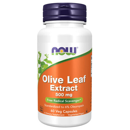 Now Foods Olive Leaf Extract 500 mg, feuille d'olivier, 60 gélules végétaliennes