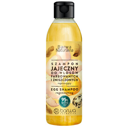 Barwa Natural, shampooing aux œufs, régénérant, cheveux colorés et abîmés, 300 ml