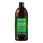 Barwa Ziołowa, shampooing à la prêle des champs, 480 ml