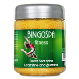 Bingospa, SPA-Sole mit Mineralien aus dem Toten Meer mit L-Carnitin und Guarana, 550 g