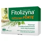 Fitolizyna Nefrocaps Forte, 30 Kapseln