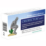 Criorectum Protect, rectal suppositories, 10 pieces