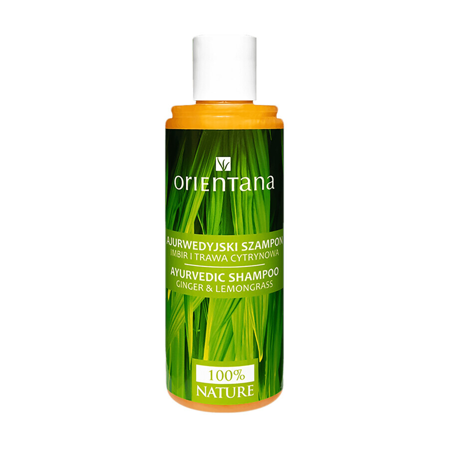 Orientana, Ayurvedisches Haarshampoo, Ingwer und Zitronengras, 210 ml