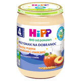 HiPP Merenda della sera Porridge con latte e frutta Bio, senza zuccheri aggiunti, dopo 4 mesi, 190 g