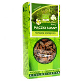 Darya Natury Pączki Sosny (Kiefernknospen), Bio-Tee, 50 g