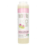 Anthyllis EcoBio, Shampoo für fettiges Haar und Schuppen, Klettextrakt, 250 ml