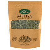 Bi Fix Melisa, infusión de hierbas, 40 g