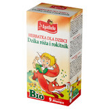 Apotheke Wild Rosehip and Sea Buckthorn Bio, tea for children over 9 months, 1.5 gx 20 sachets