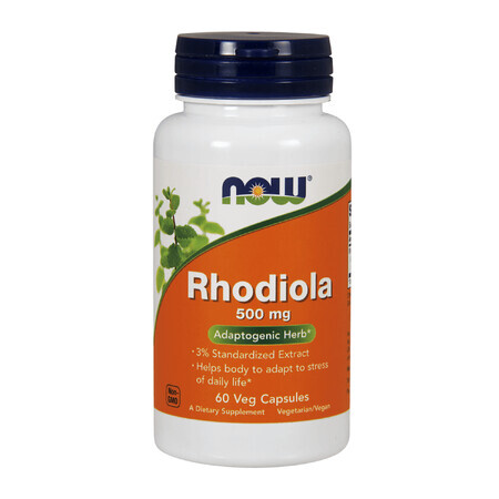 Now Foods, Rhodiola, Rhodiola rosea, 500 mg, 60 Kapseln