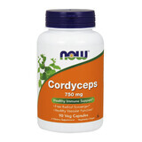 Now Foods Cordyceps 750 mg, 90 vegetarische Kapseln