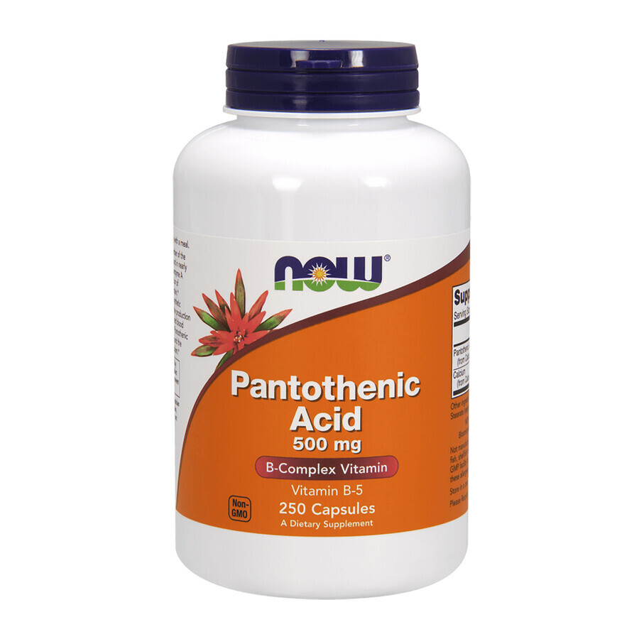 Now Foods Acido pantotenico, Acido pantotenico 500 mg, 250 capsule vegetali