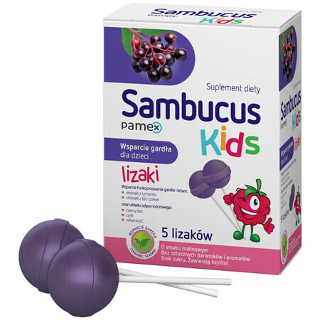 Sambucus Kids Lollipops, Himbeergeschmack, 5 Stück