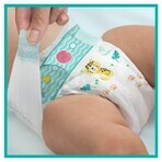 Pampers Active Baby, pannolini, taglia 7, 15+ kg, 40 pz.