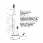 Alfa Sonic, Schallzahnbürste + 4 Ersatzaufsätze