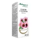 Herbapol Elixer van Echinacea, vloeibaar, 100 ml