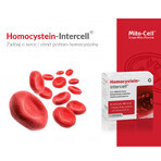 Mito-Pharma Homocystein Intercell, 90 Kapseln