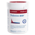 Mito-Pharma, Diabète BilDi max, 30 gélules