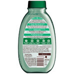 Garnier Botanic Therapy, invigorating shampoo for normal to oily hair, green tea, 400 ml