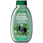 Garnier Botanic Therapy, invigorating shampoo for normal to oily hair, green tea, 400 ml