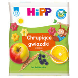 HiPP Knusper-Bio-Sterne, Frucht, 30 g