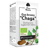 Geschenk der Natur Chaga Birke Tumor, 60 Kapseln