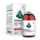 Aura Herbals Silidrop+, organisches Silizium (MMST) + Bor, 500 ml