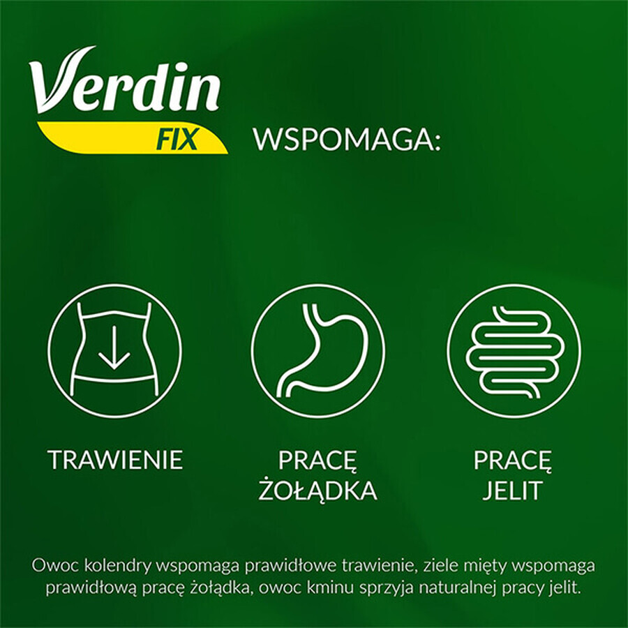 Verdin Fix with green tea, 20 sachets