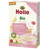 Holle Bio muesli porridge with fruit, without milk, after 6 months, 250 g