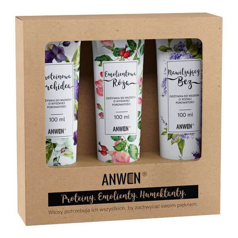 Anwen set, high porosity hair conditioners, 3 x 100 ml