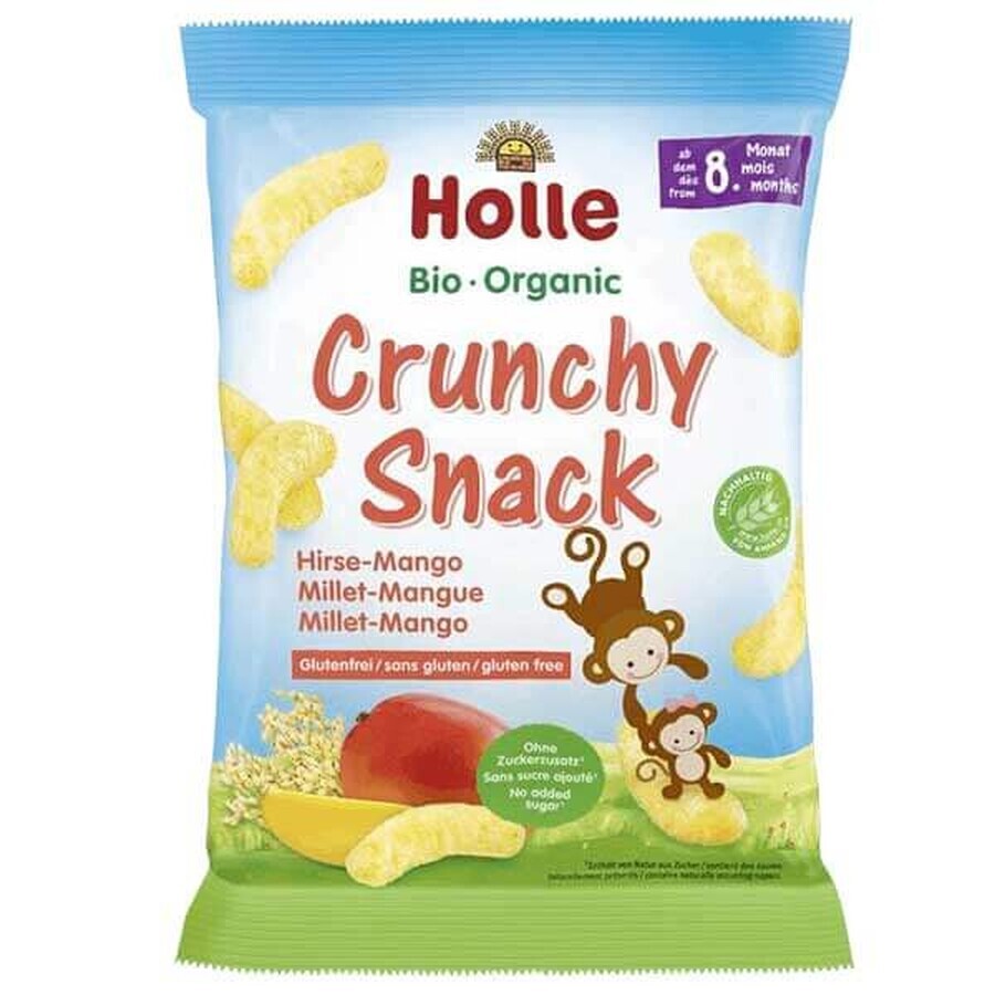 Holle Mango Buckwheat Crisps Bio, from 8 months, 25 g