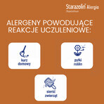 Starazolin Allergy, 1 mg/ml, colirio, 5 ml