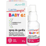 Lactoangin Baby, Rachenspray, Himbeergeschmack, ab 6 Monaten, 30 g