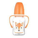 Canpol Babies, biberon fin avec poignée, animaux mignons, 11/823, orange, à partir de 3 mois, 120 ml