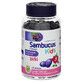 Sambucus Kids Gel, Himbeergeschmack, 60 St&#252;ck