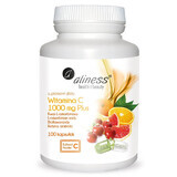 Aliness Vitamin C 1000 mg Plus, 100 pflanzliche Kapseln