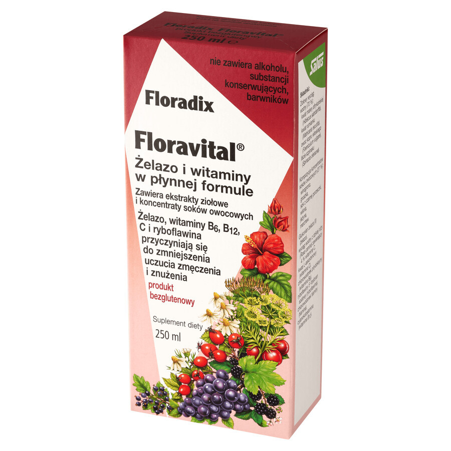 Floradix, Floravital, Gluten Free, 250 ml