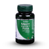 Maslin extract forte, 60 capsule, Dvr Pharm