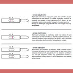 Ovulation test L-Check-1 Midstream, 1 pack (5 tests)