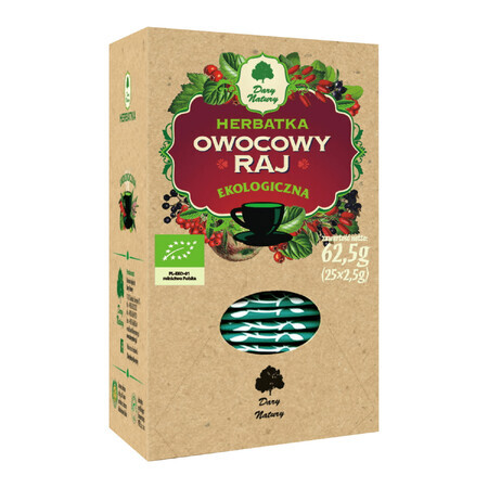 Dary Natury Owocowy Raj, thé biologique, 2,5 g x 25 sachets