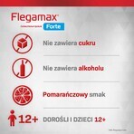 Flegamax Forte 2.7g, 6 sachets