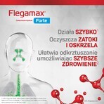 Flegamax Forte 2.7g, 6 sachets