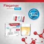 Flegamax Forte 2.7g, 6 sachets