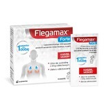 Flegamax Forte 2.7g, 6 sachets