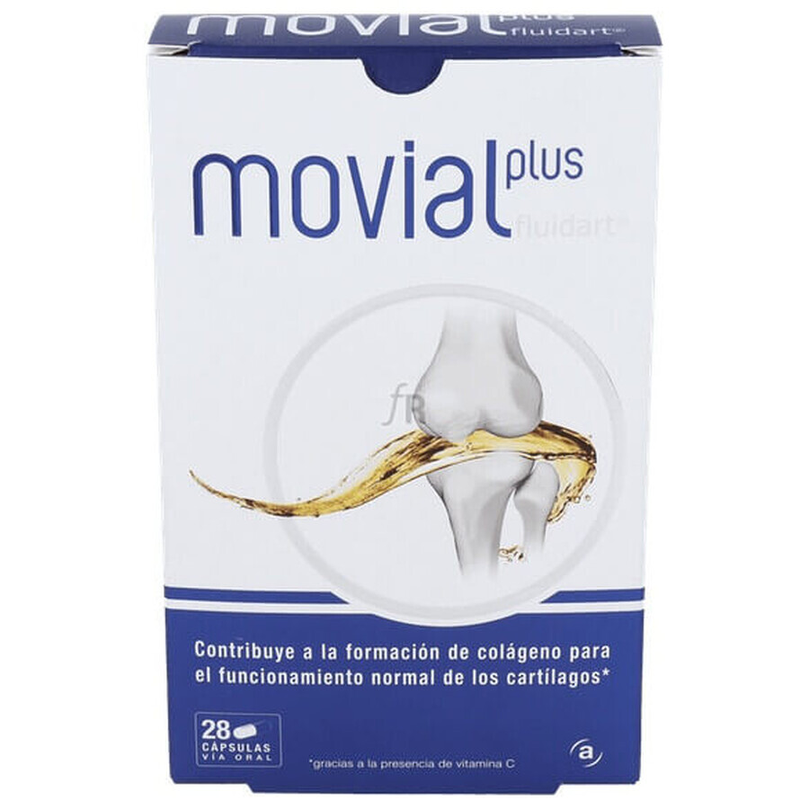 Movial Plus Fluidart, 28 capsule, ActaFarma