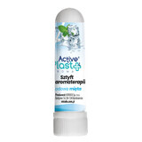 ActivePlast Aroma, Aromatherapie-Stick, Eis-Minze, 1 Stück