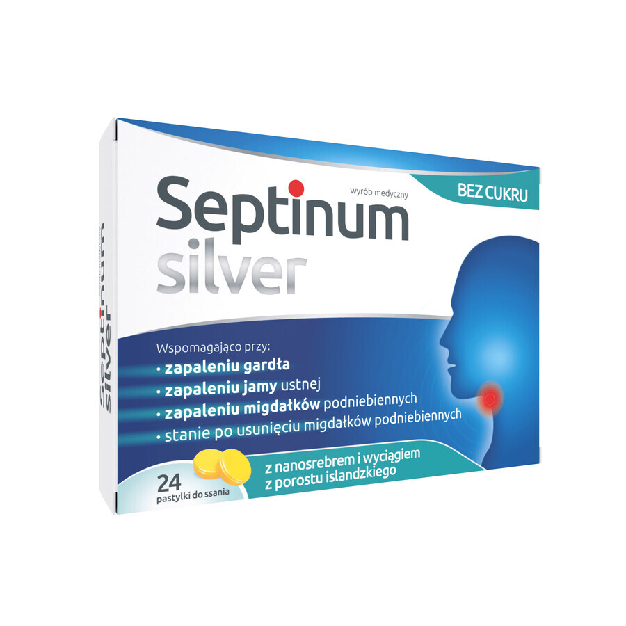 Septinum Silber, 24 Lutschtabletten