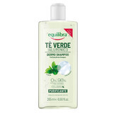 Equilibra Dermo, cleansing shampoo, green tea and hyaluronic acid, 265 ml