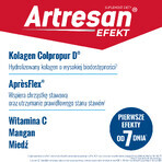 Artresan Efekt, 25 Säckchen