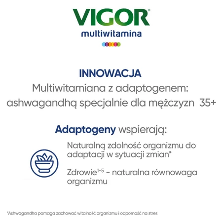 Vigor Multivitamin On, 60 comprimés