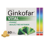 Ginkofar Vital, 60 Filmtabletten